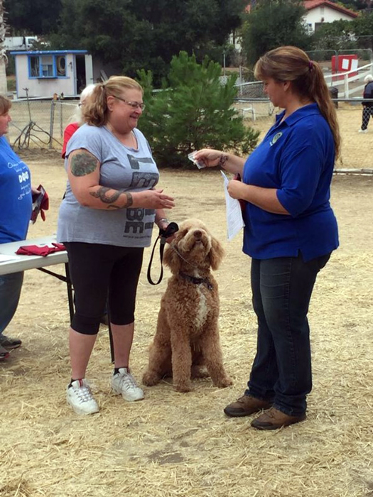  Dog Training - Kindred Spirits Dog Training by Stacey Kuhns