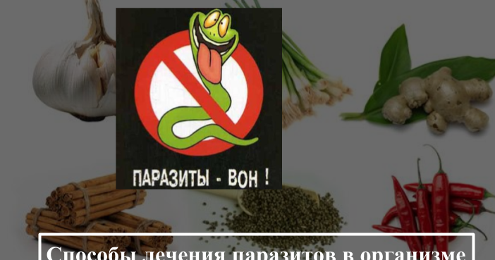 лечение паразитов в организме стационарно новосибирск лечение паразитов в организме стационарно новосибирск