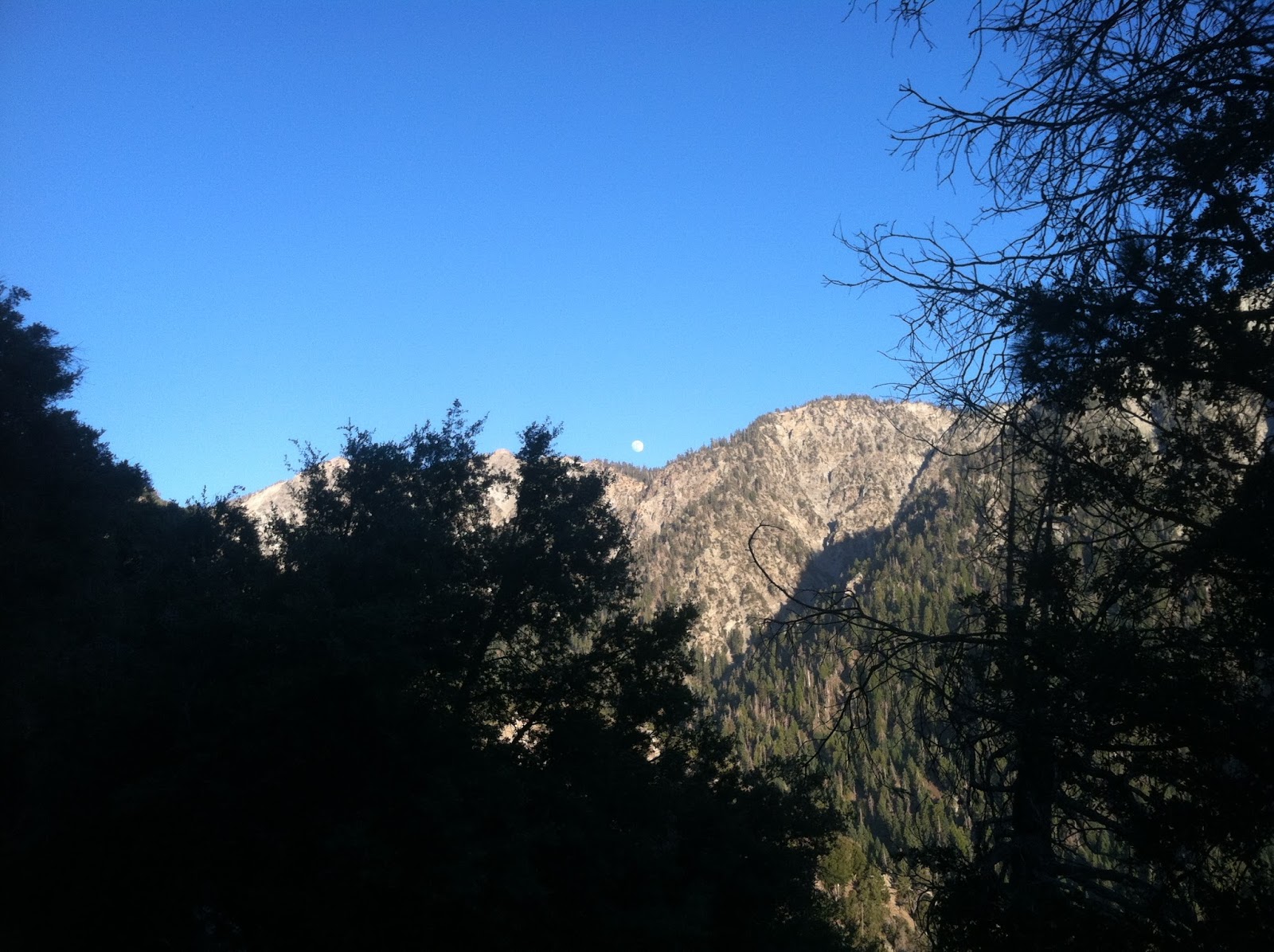 Travels Three best activities in San Bernardino National Forest