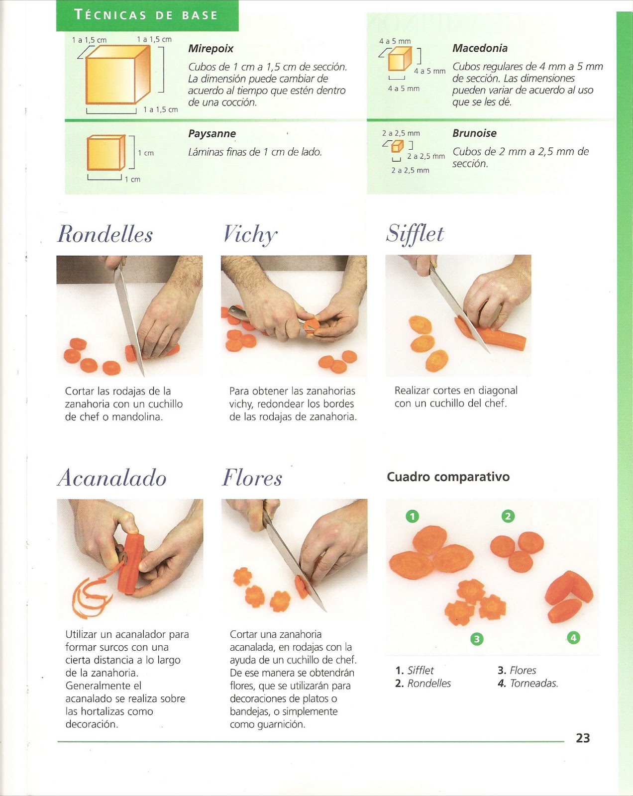 COCINA NACIONAL CORTES EN FRUTAS Y VERDURAS COCINA NACIONAL CORTES EN FRUTAS Y VERDURAS