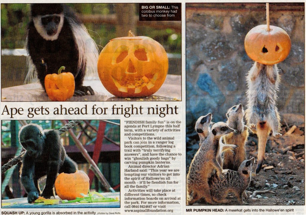 Halloween Vince's dark delights! Halloween at the zoo