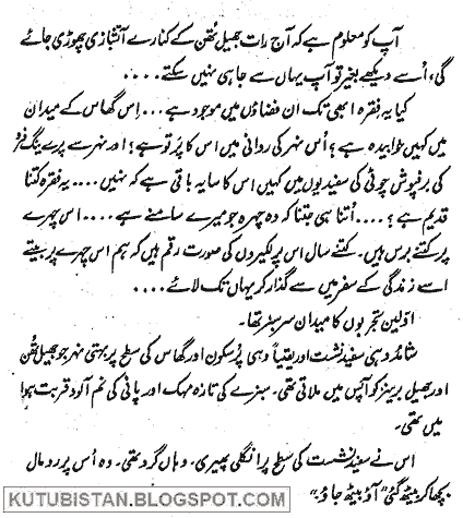 Mustansar Hussain Tarar Safarnama Pdf