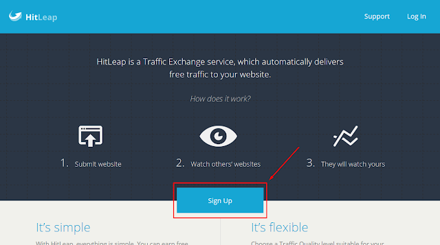 web site hit programı