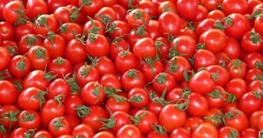 Concentré de tomate made in China : bienvenue dans la mondialisation ...