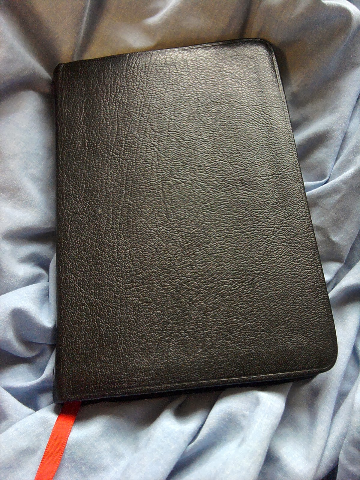 Dear Lissy Professor Horner s Bible Reading System Tutorial