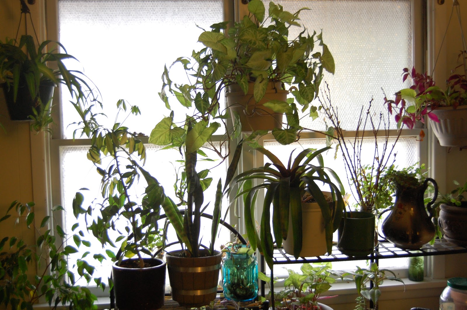 The Old Skills Bubble wrap window insulation