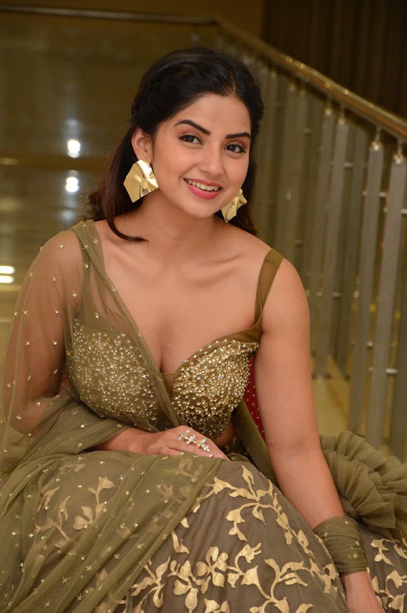 Kashmira Pardeshi at Narthanasala Pre-Release