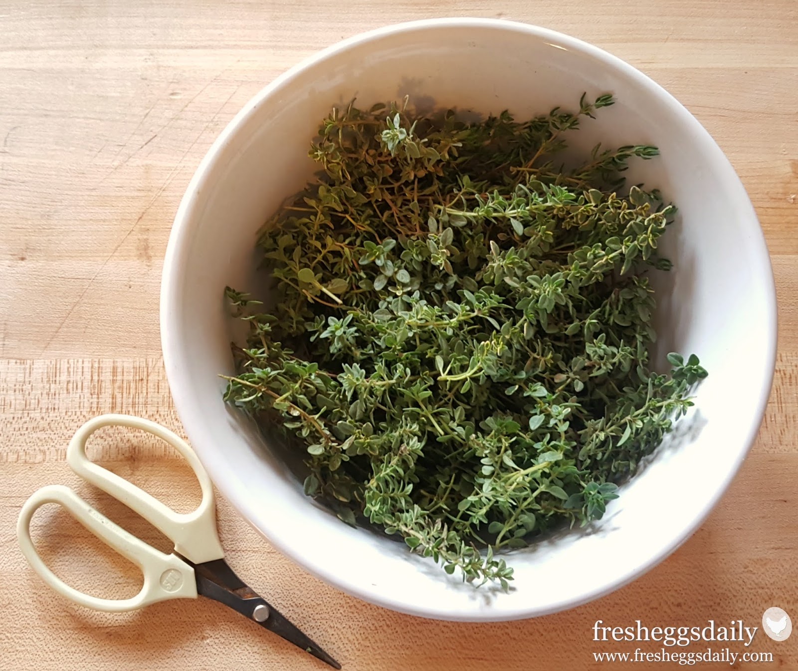 Lemon Thyme Coop Cleaning Spray Fresh Eggs Daily® with Lisa Steele