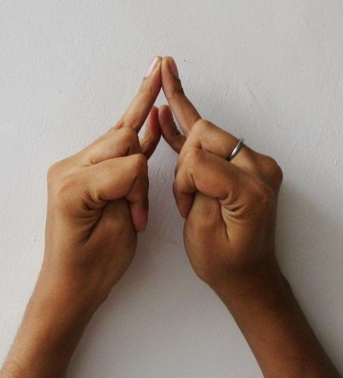 Shakti Mudra