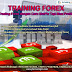 Belajar Forex di Makassar