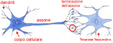 menu settimanale di dieta tlc menu settimanale di dieta tlc