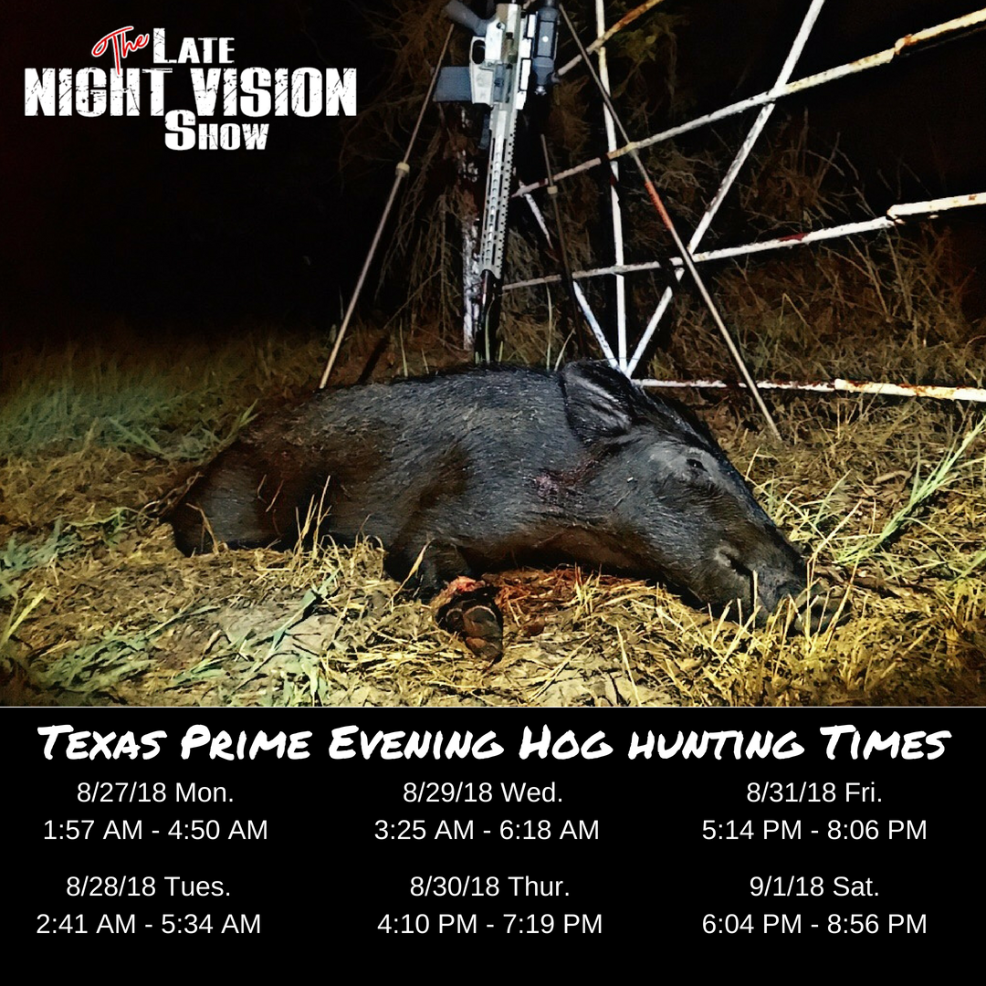 TEXAS PRIME EVENING HOG HUNTING TIMES!!!