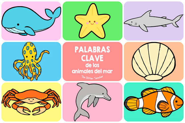 Tarjetas de vocabulario imprimibles de los animales del océano en inglés para educación infantil y educación primaria.
