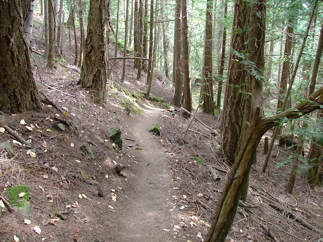 Eagle Bluff trail on Cypress Island