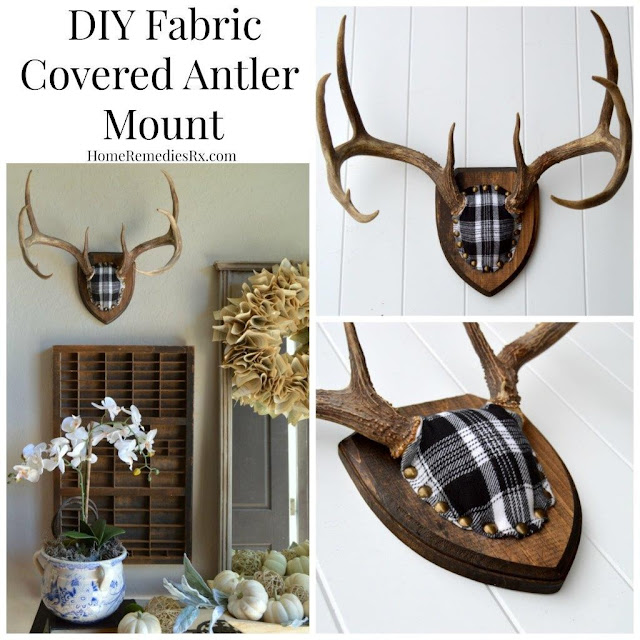 Home Remedies Rx- DIY Antler Mount-Treasure Hunt Thursday- From My Front Porch To Yours