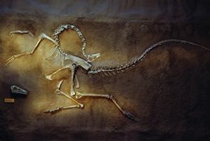 The article ends saying, “Cutler has confidence in her freshwater study