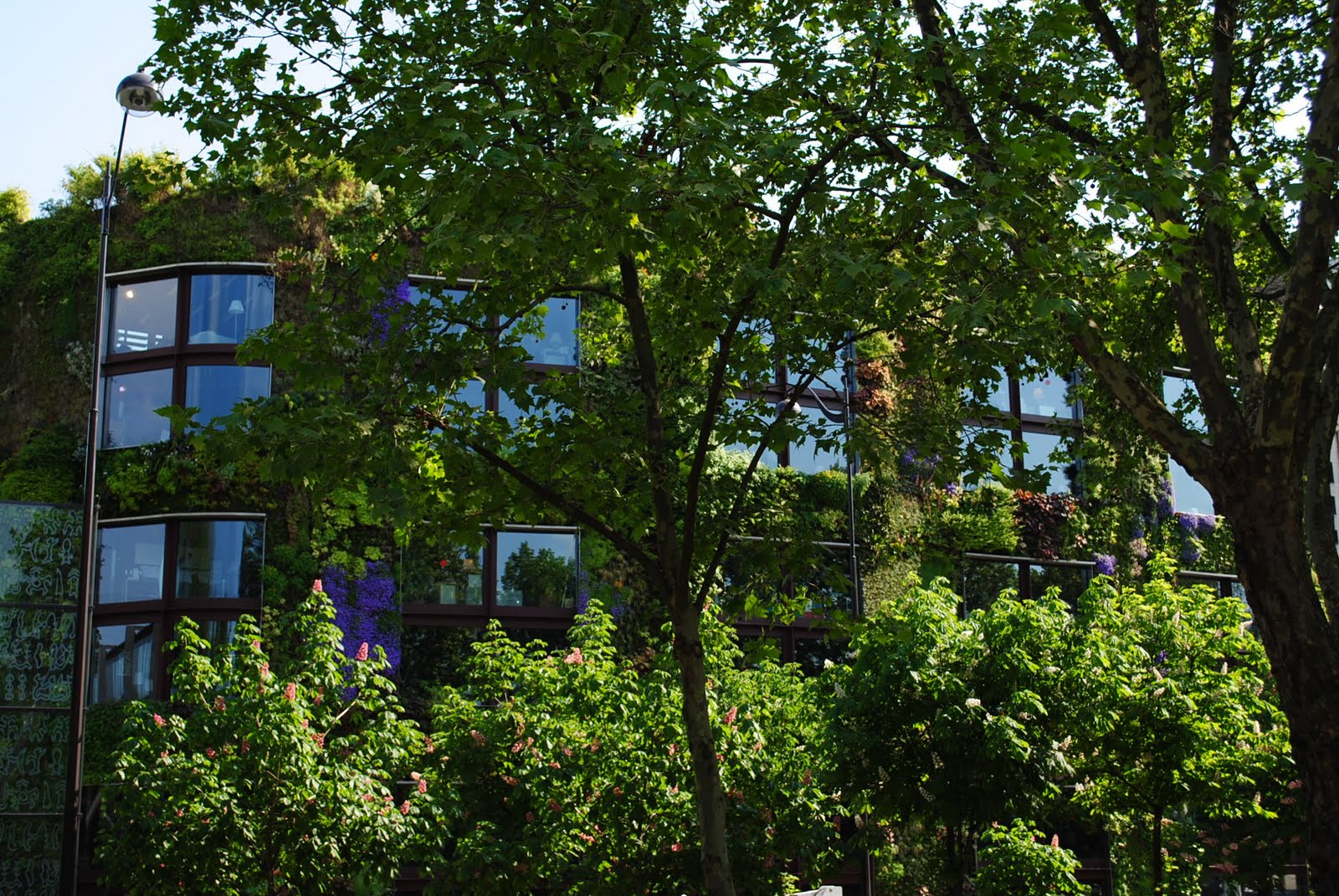 plantspeople la ville fertile urban gardens in paris