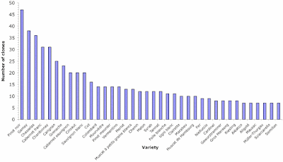 Number of clones per grape variety approved in France