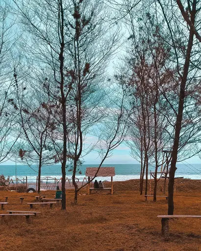 Pantai Purworejo Pantai Purworejo