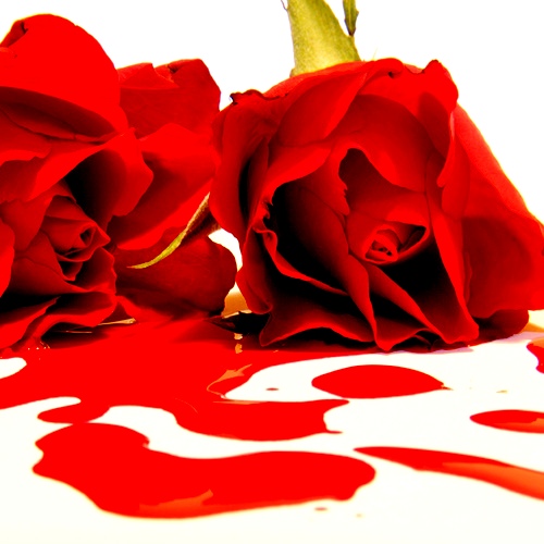 Kanye West Roses [Перевод] — Metaphorical World