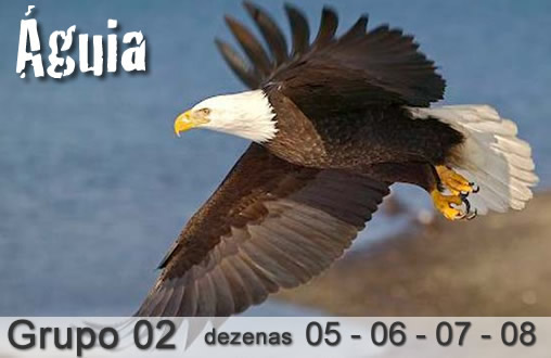 Palpites do kaledri dia 06/01/2020 tarde PALPITES DO KALEDRI DIA 12/10/2019 MANHA