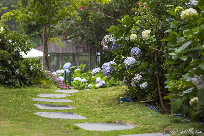 Top 10 Homestay Đà Lạt có vườn farm đẹp cho du khách trải nghiệm