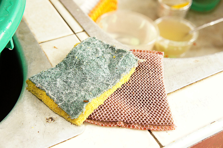 Your Sponge and Dish Cloth