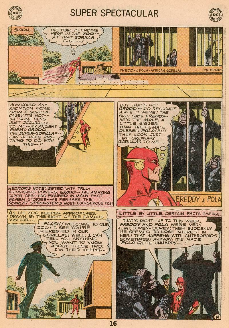 Read online The Flash (1959) comic -  Issue #214 - 16