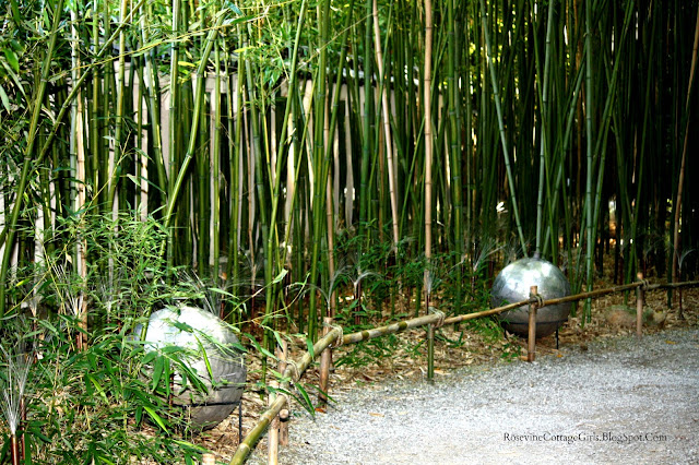 A bamboo forest at Cheekwood Botanical Gardens and paths lined with large metal reflecting balls.