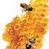 Why Honey is Great for Health and Wellness