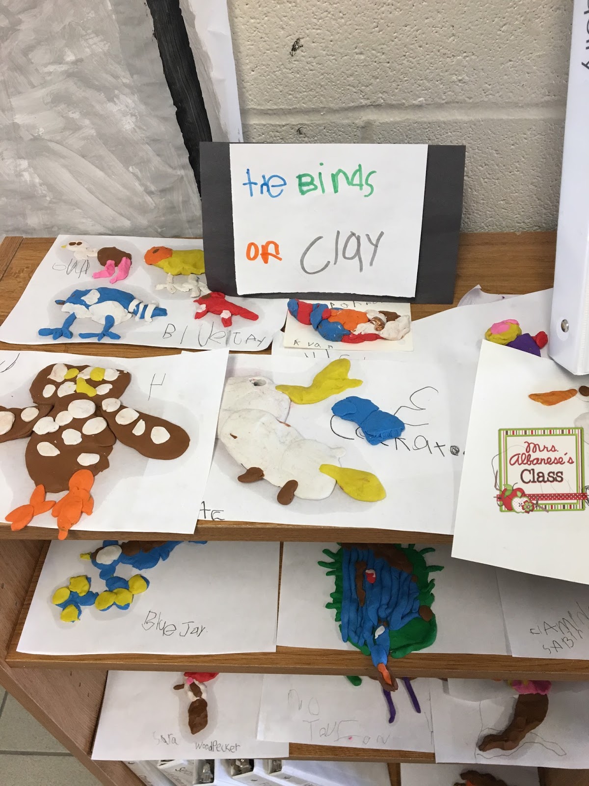 Our Bird Inquiry Mrs. Albanese's Kindergarten Class