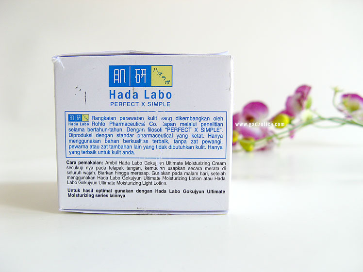 Hada Labo Ultimate Moisturizing Night Cream Review