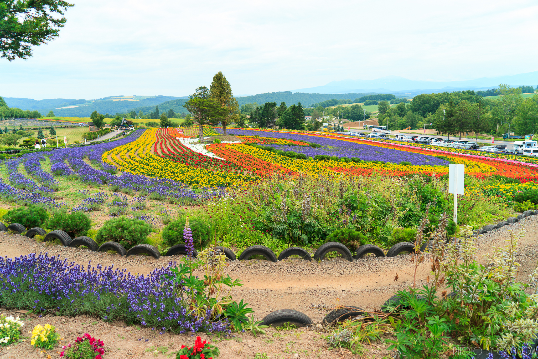 狂牛部落格 2015
