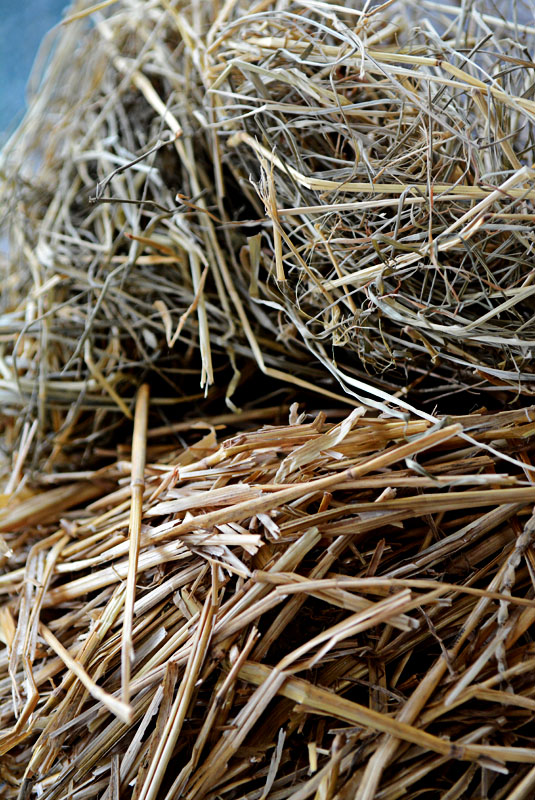 Straw vs Hay: What's the difference?Wells Brothers Pet, Lawn & Garden Supply