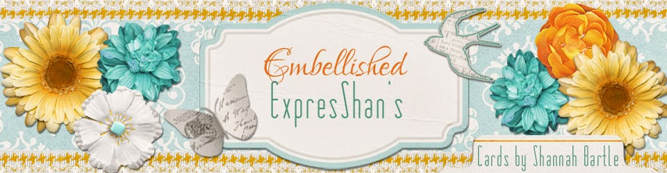 Embellished ExpresShan's