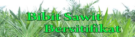 Jual Bibit Sawit Bersertifikat