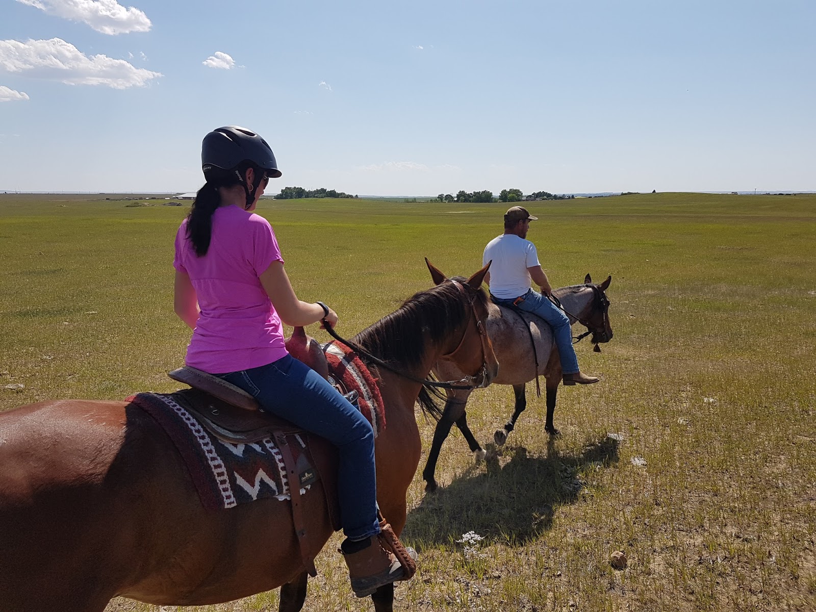 Autonomous Dressage Chilling in the Heat