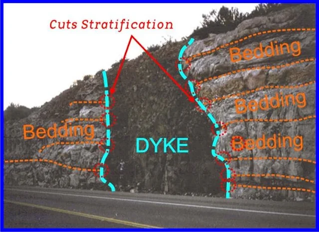 Dike: Definition & Types Of Dikes
