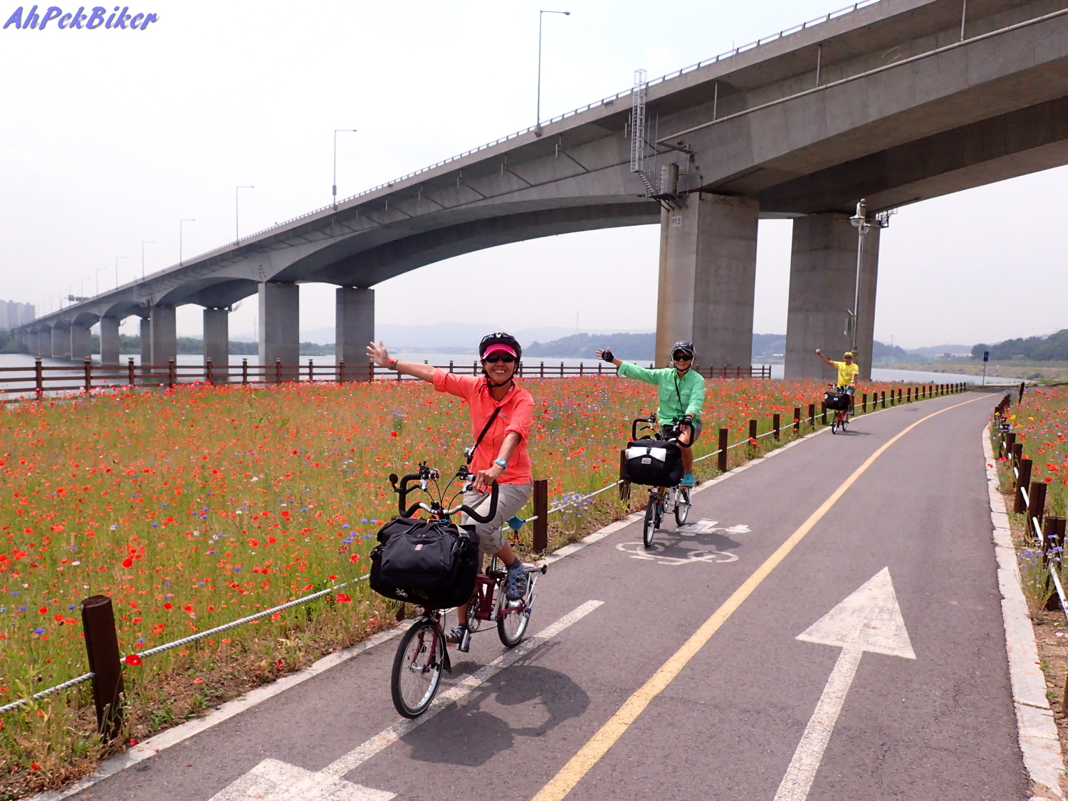 AhPek Biker Old Dog Rides Again Cycling Korea 2016 Day 5 Hangang