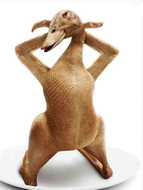 Koleksi Foto-Foto Bugil Ayam Kampus (Foto Heboh) | BotamTV