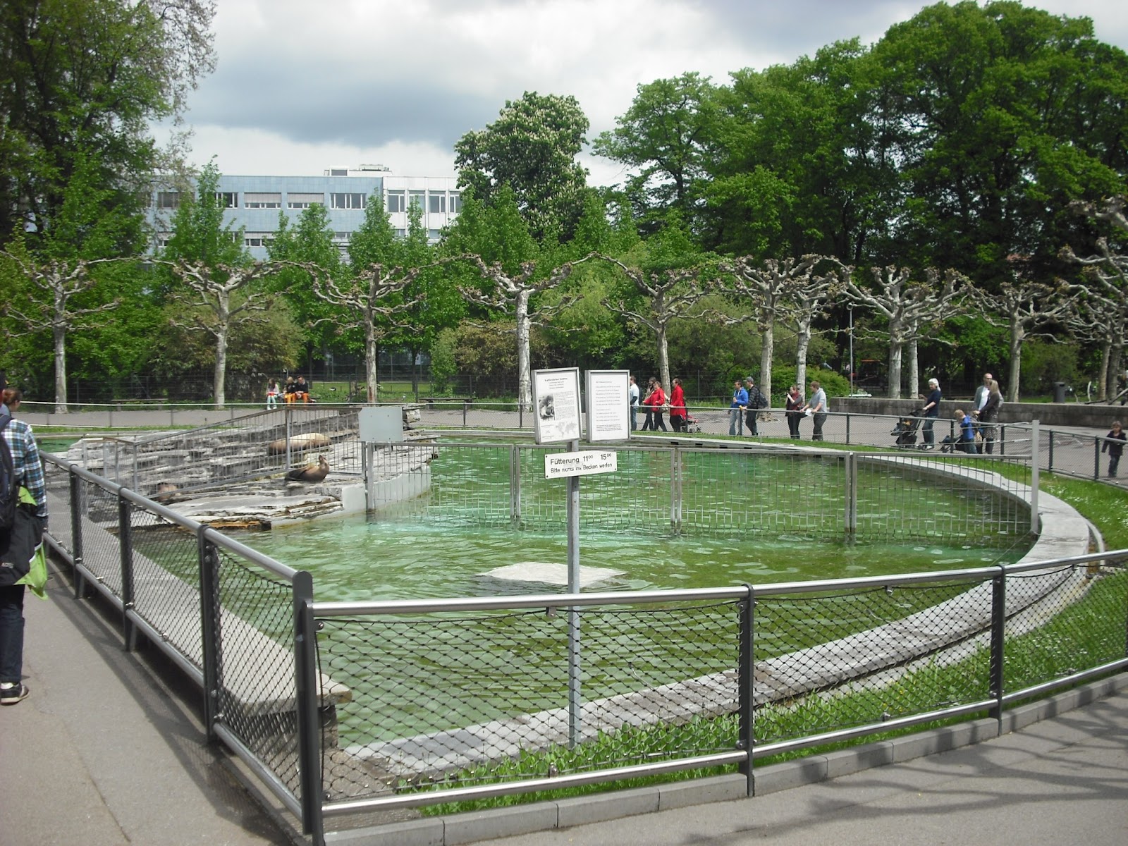 Wilhelma ZOO Stuttgart O uchatkach prawie