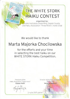 White Stork Contest