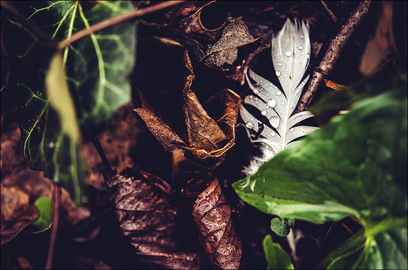 Gladbeck Bottrop Gelsenkirchen