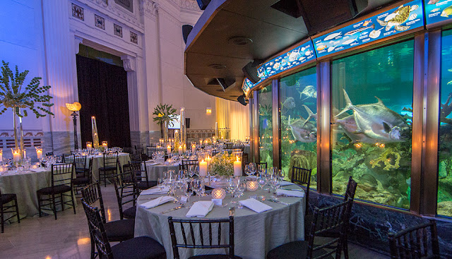 Aquarium Wedding Venues Shedd Aquarium Aquarium Wedding Venues Shedd Aquarium