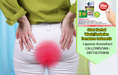 Foto Obat Herbal Wasir Yang Sering Kambuh Lagi Terbaik