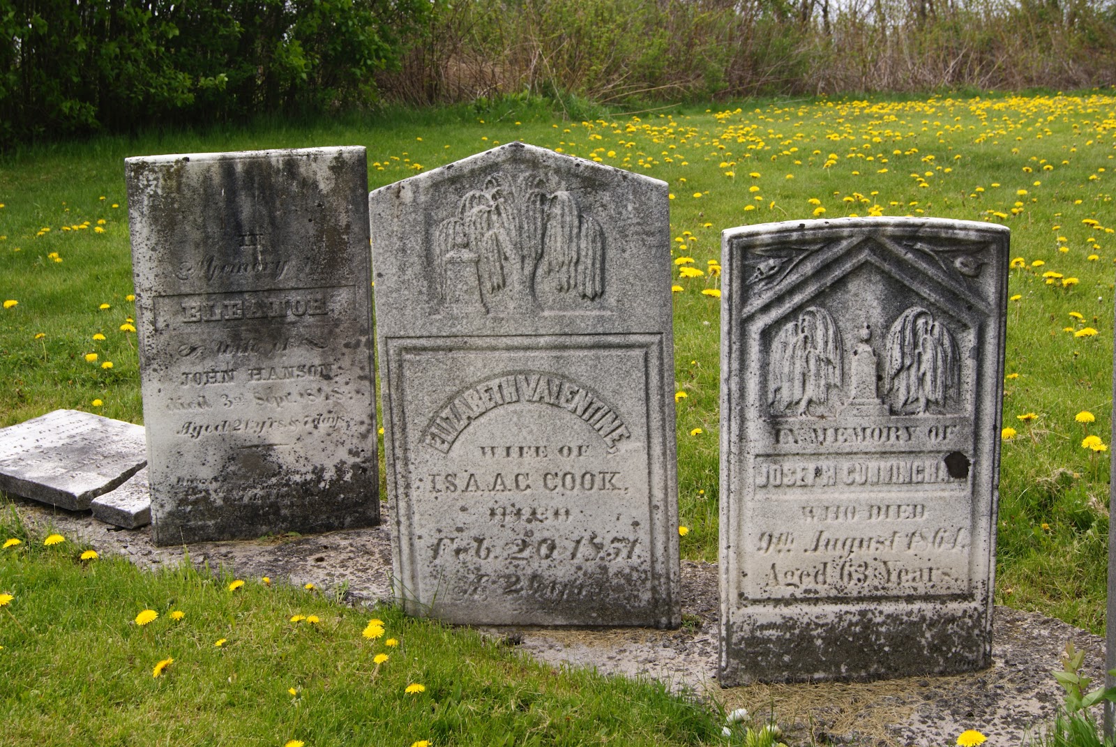 The Jolly Taphophile (Graveyard Junkie) Bloomfield Cemetery, Hornby