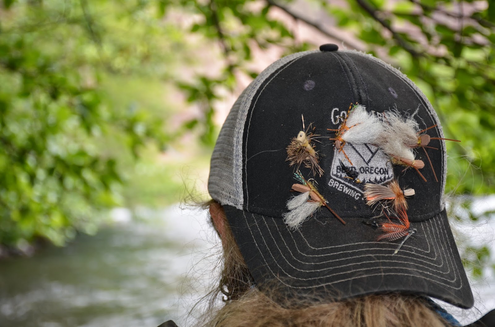 Deschutes River Salmon Fly Report May 2015