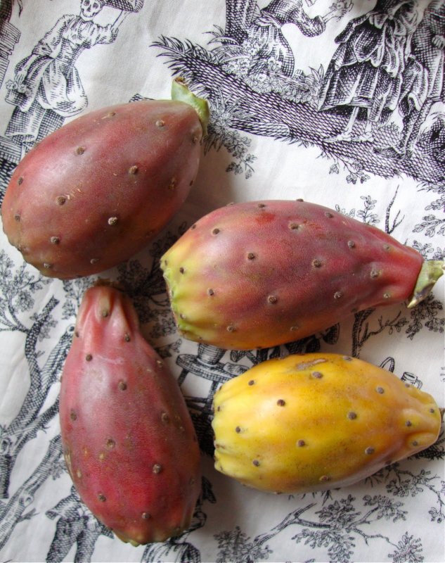 Cooketteria: Dezember 2011