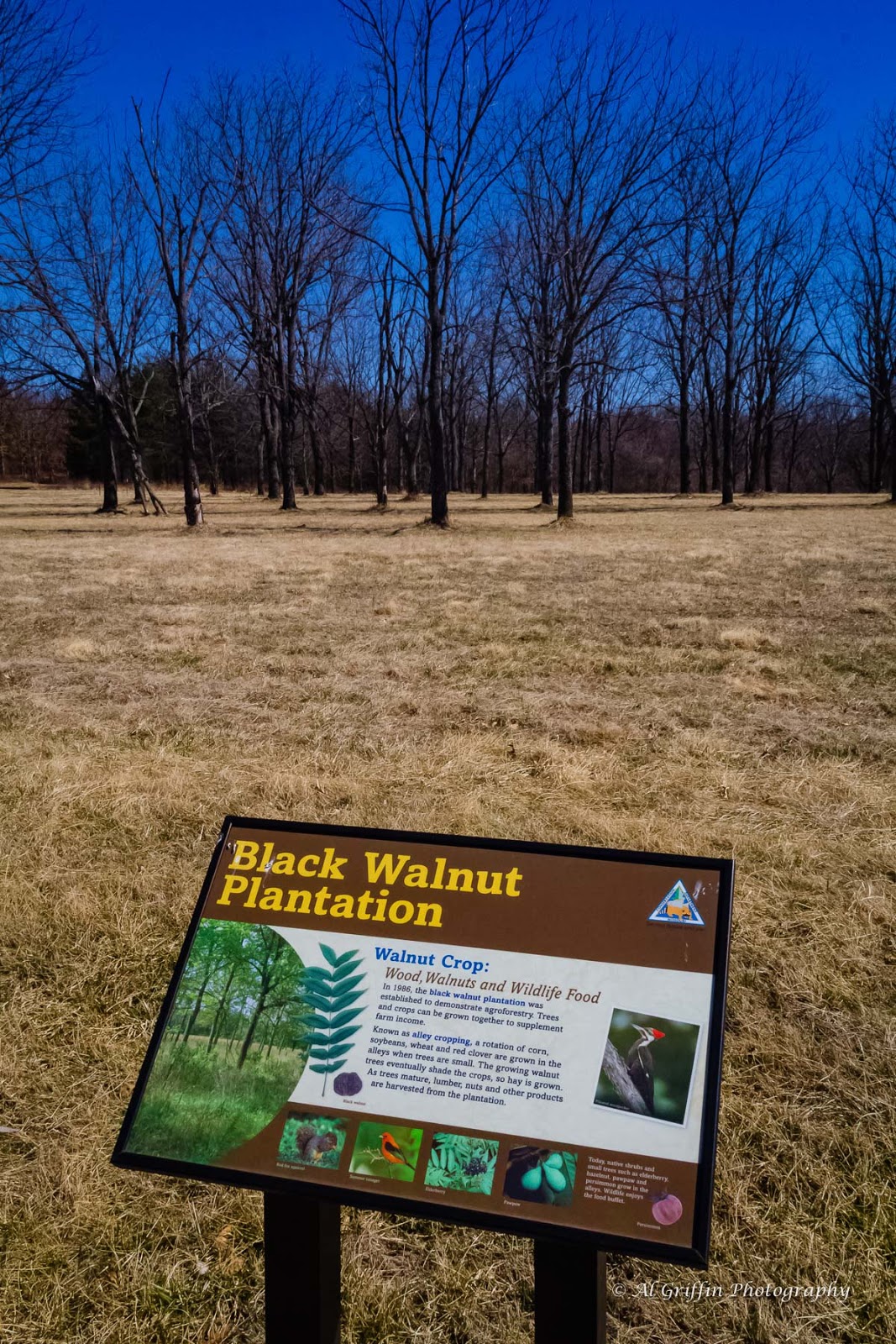 Our Eyes Upon Missouri Burr Oak Woods Conservation Area, Blue Springs