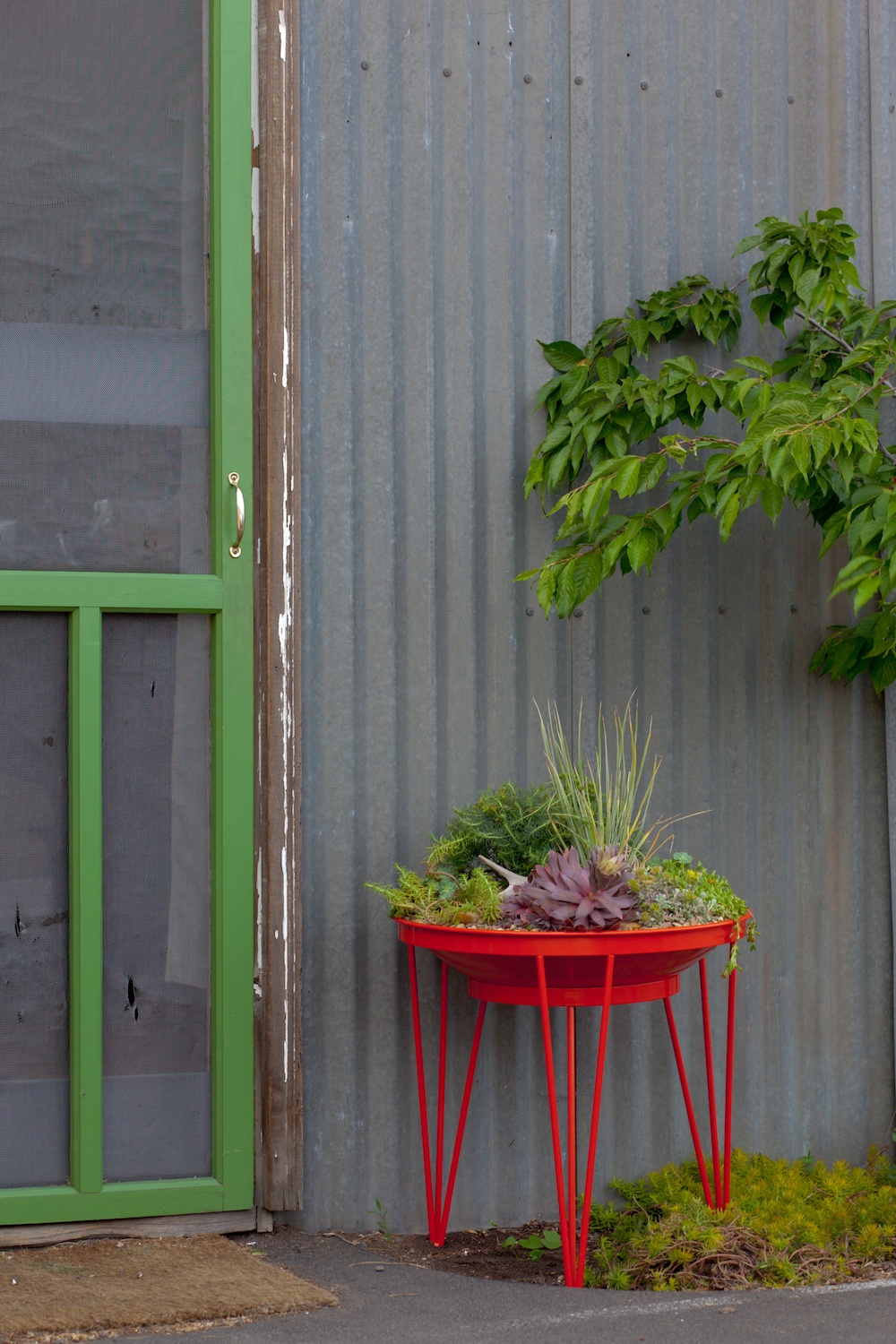 Kate Presents: Mid-Century modern planters by Steel Life
